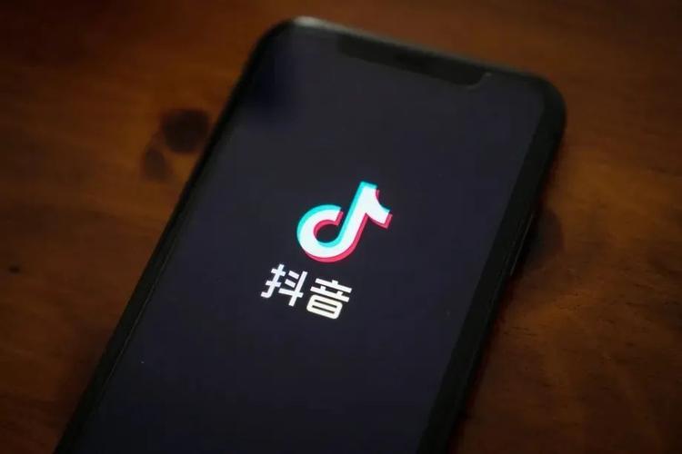 快手极速播放
